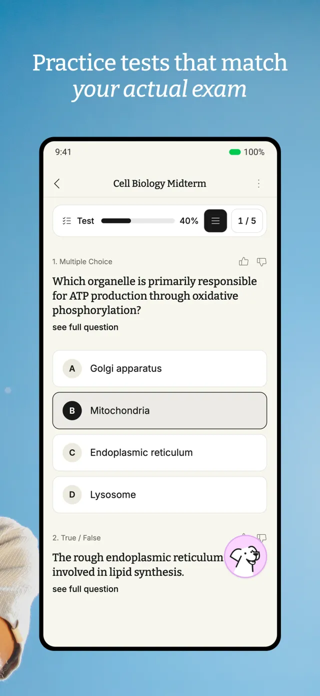 StudyFetch - Screen 6