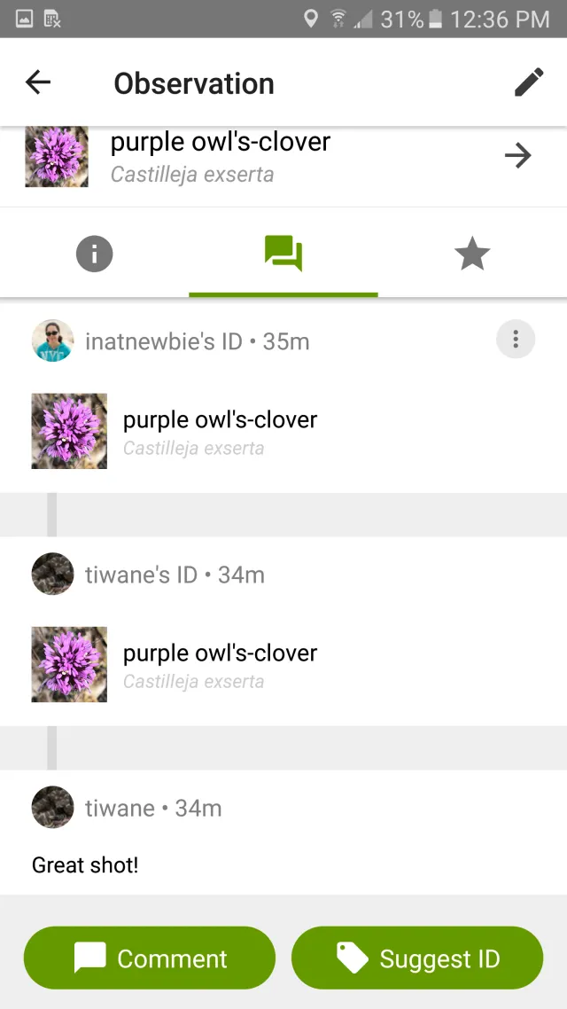 iNaturalist - Screen 4
