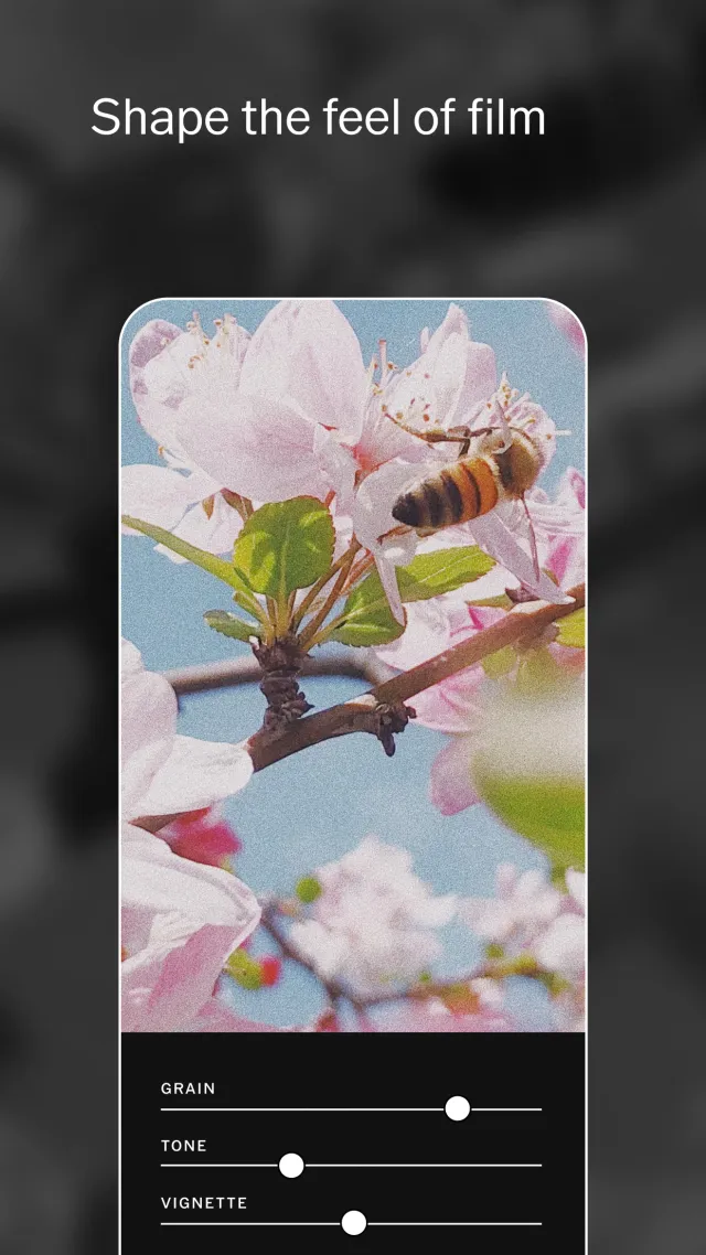 VSCO: Photo Editor - Screen 4