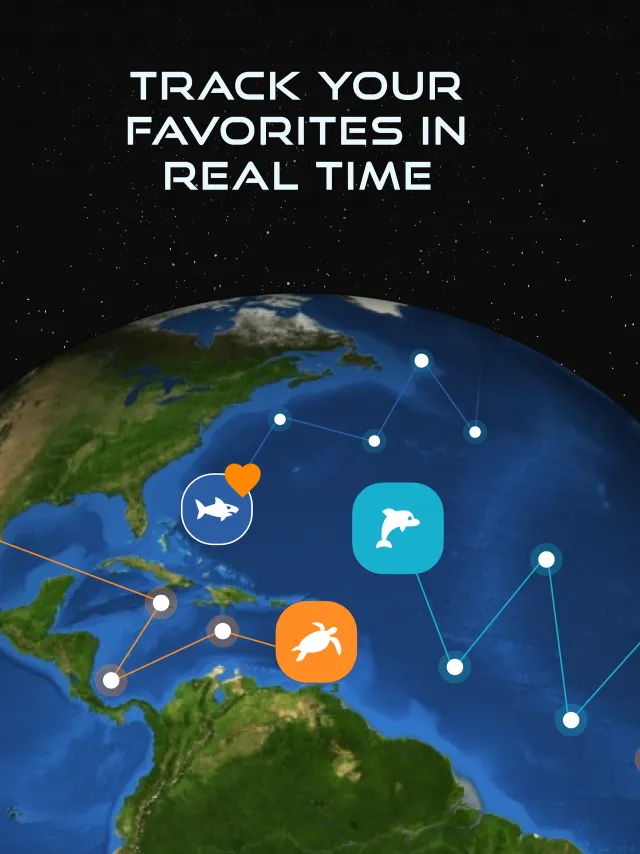 OCEARCH Shark Tracker™ - Screen 7