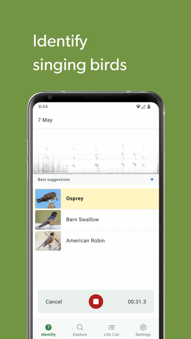 Merlin Bird ID by Cornell Lab - Screen 4