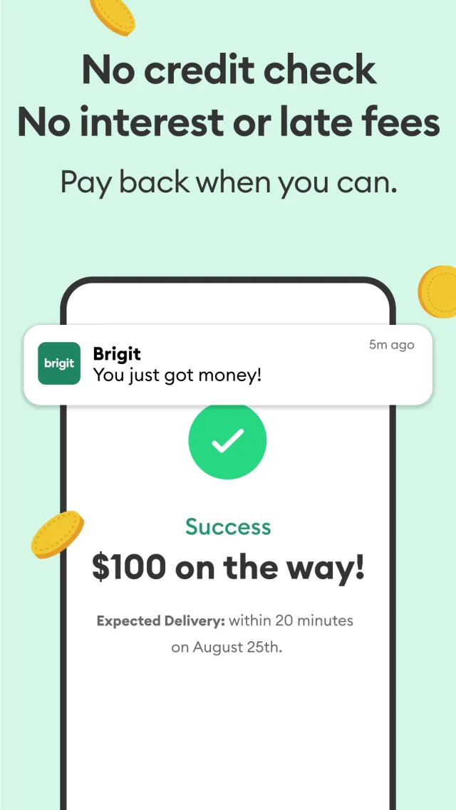 Brigit: Cash Advance & Credit - Screen 2