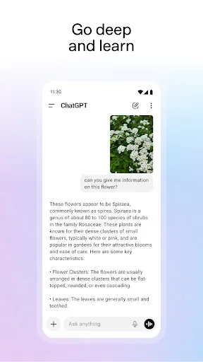 ChatGPT - Screen 6
