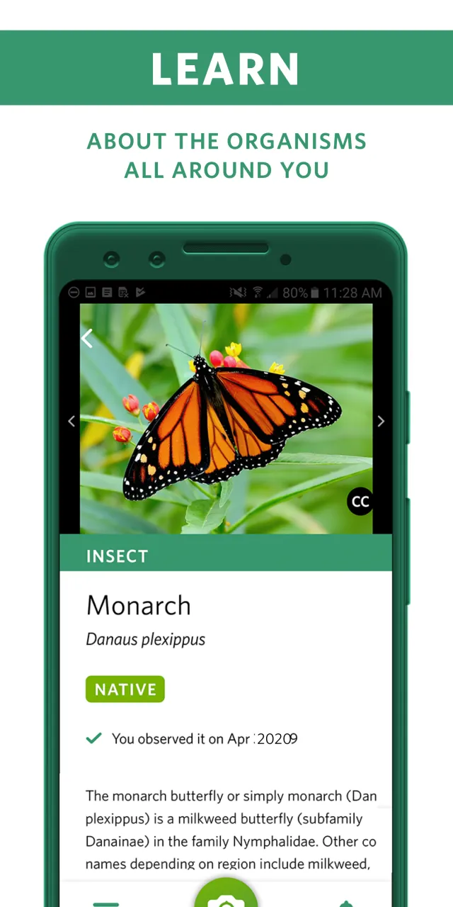 Seek by iNaturalist - Screen 3