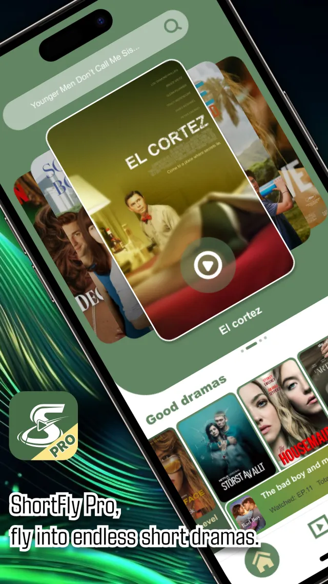 ShortFly Pro - Screen 2