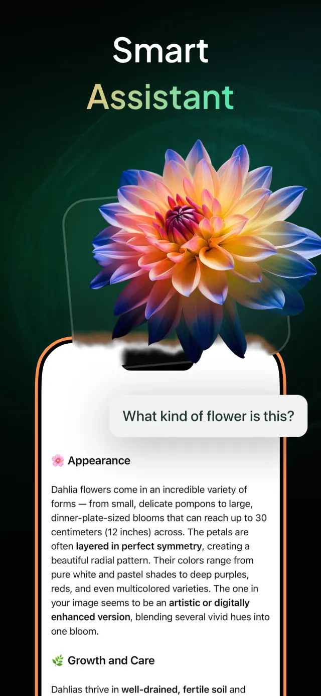 Gendi AI - Ask AI Assistant - Screen 7