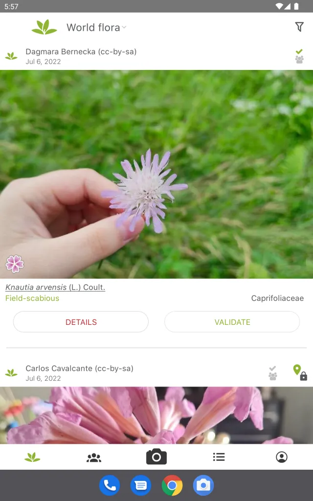 PlantNet Plant Identification - Screen 8