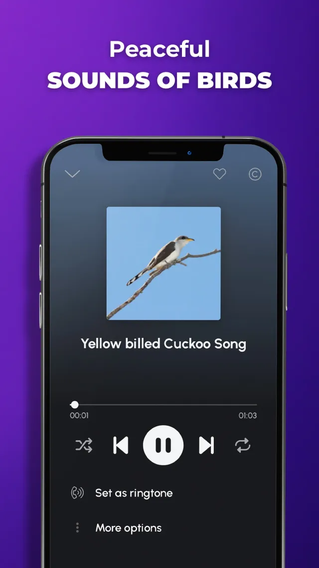 Phone Ringtones - Screen 7