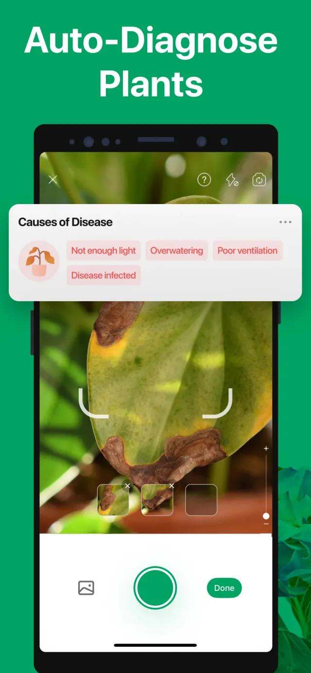 PictureThis - Plant Identifier - Screen 4