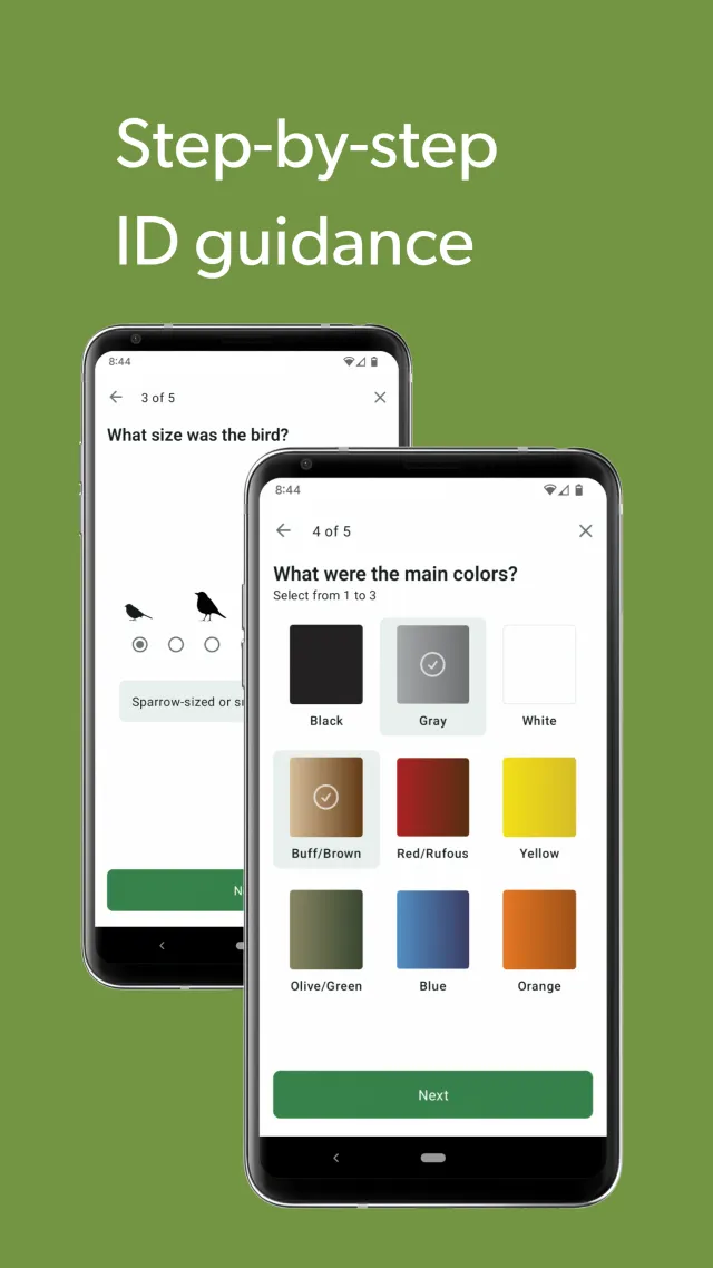 Merlin Bird ID by Cornell Lab - Screen 5