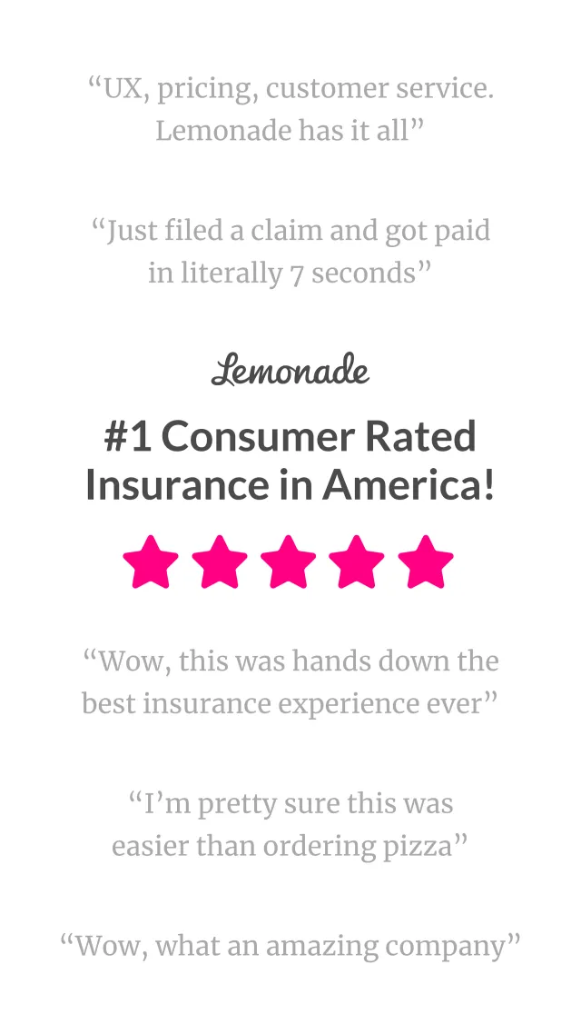 Lemonade Insurance - Screen 3
