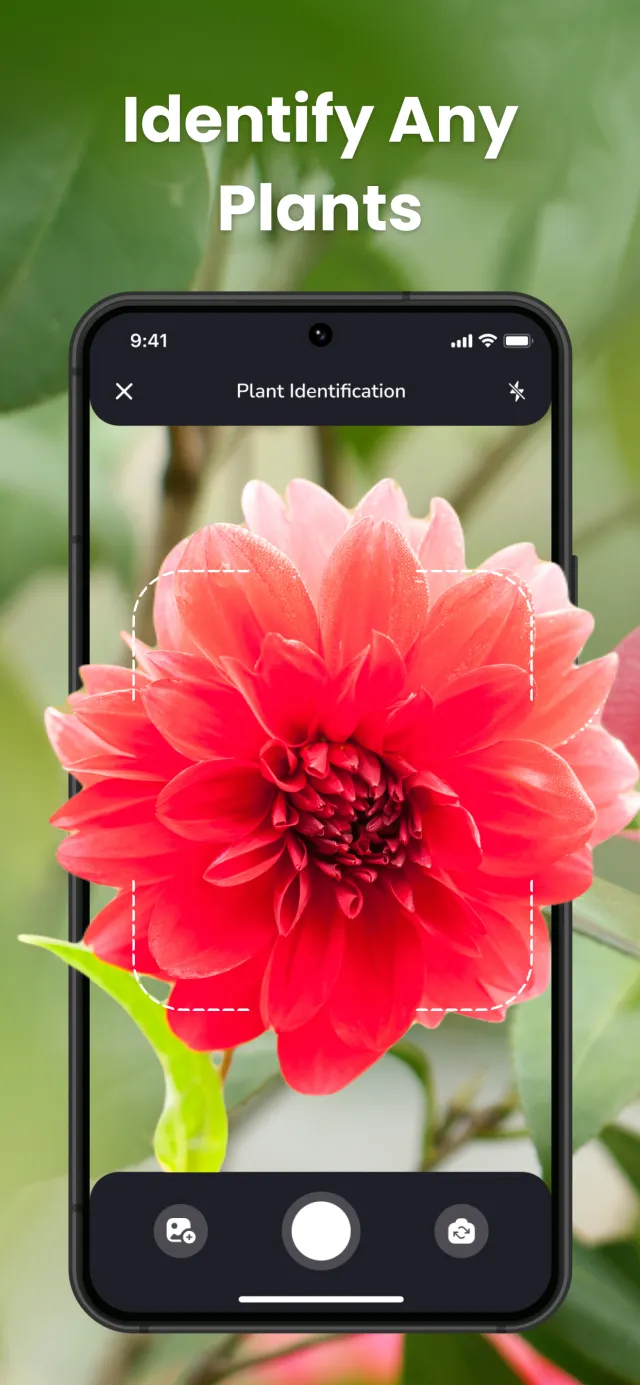 PlantIn Plant Identifier, Care - Screen 1