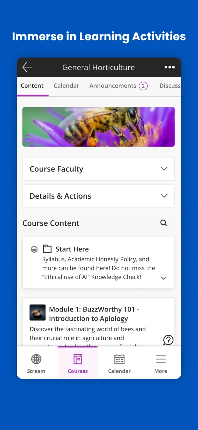Blackboard - Screen 3