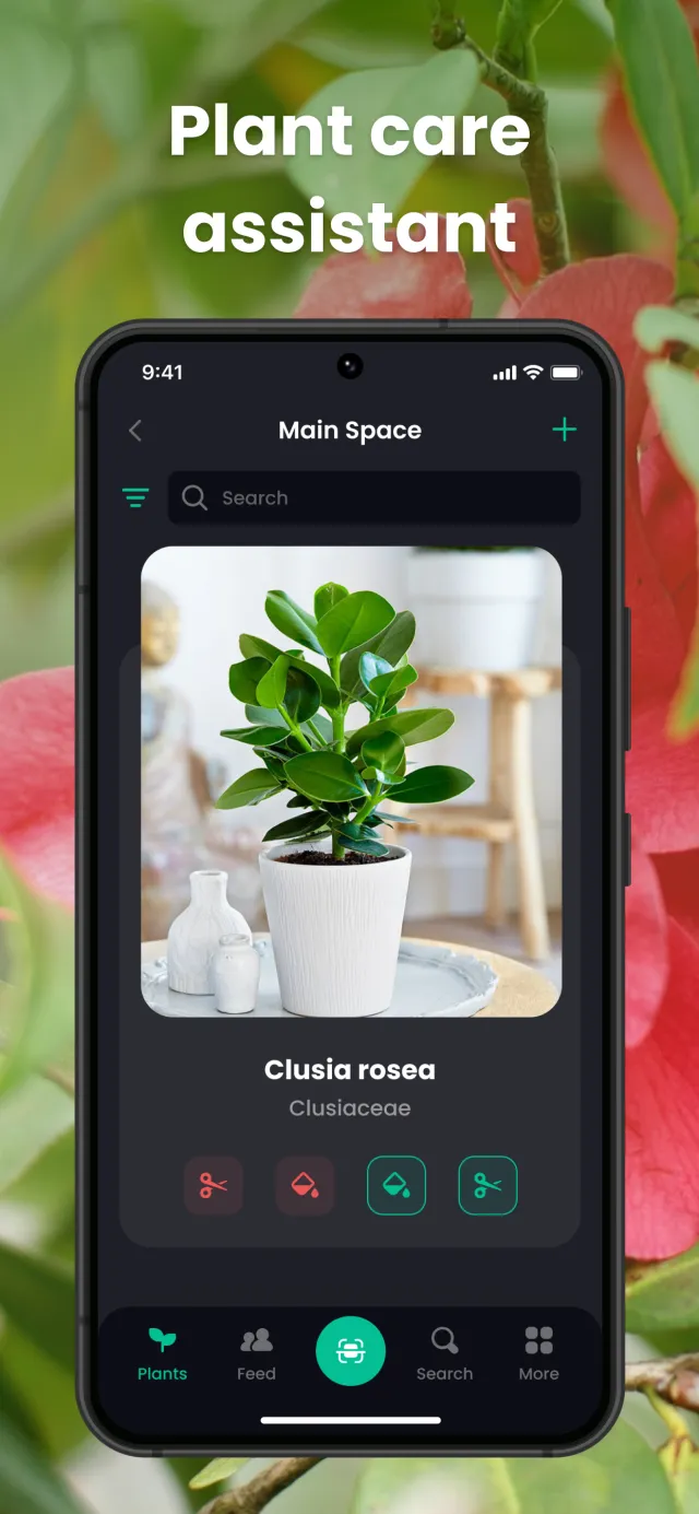 PlantIn Plant Identifier, Care - Screen 2