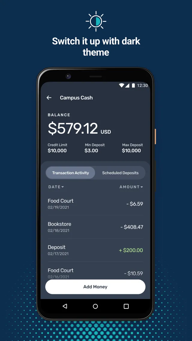 Transact eAccounts - Screen 4