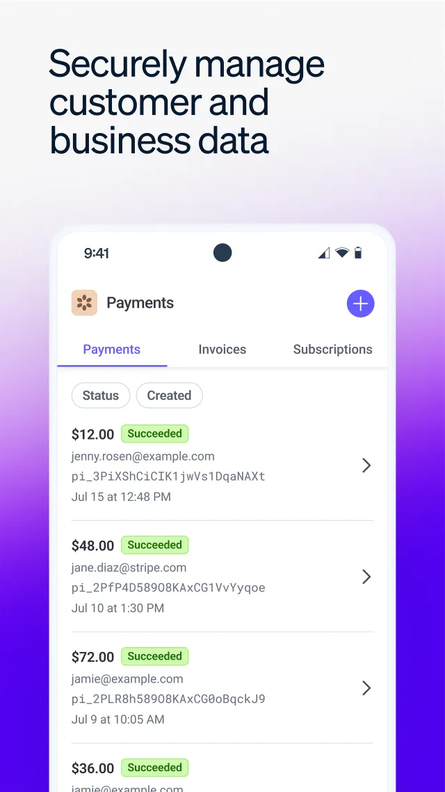 Stripe Dashboard - Screen 6