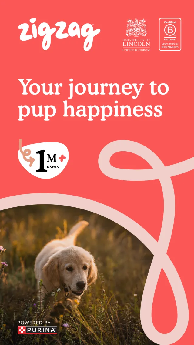 Zigzag - Dog & Puppy Training - Screen 1