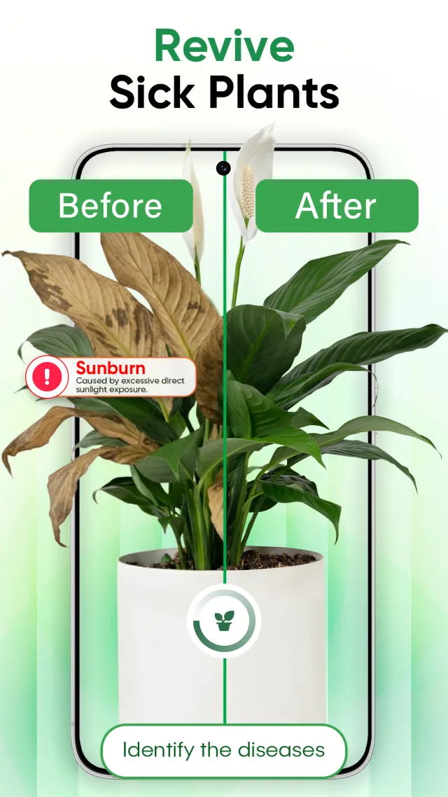 Plant Identifier - Scan & Care - Screen 2
