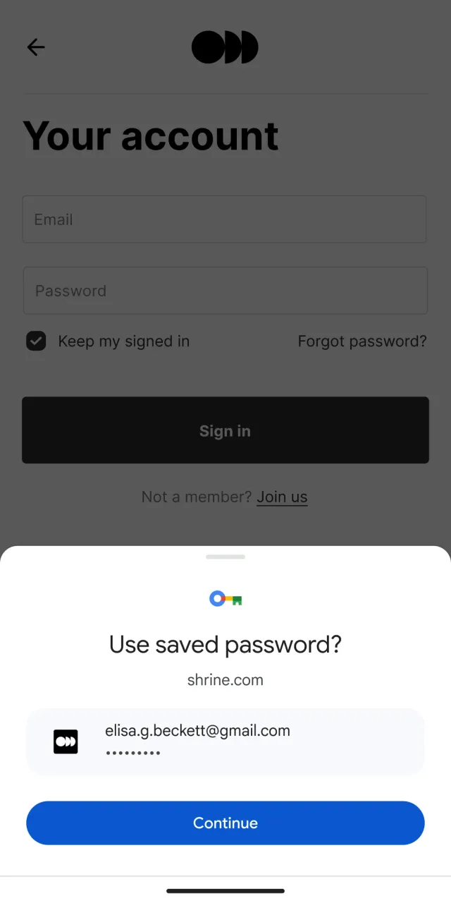 Google Password Manager - Screen 2