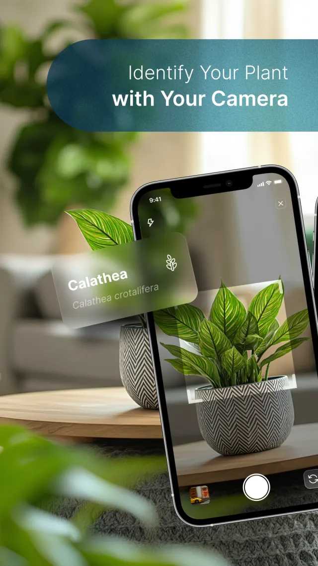 Plant Care - AI Identifier - Screen 1