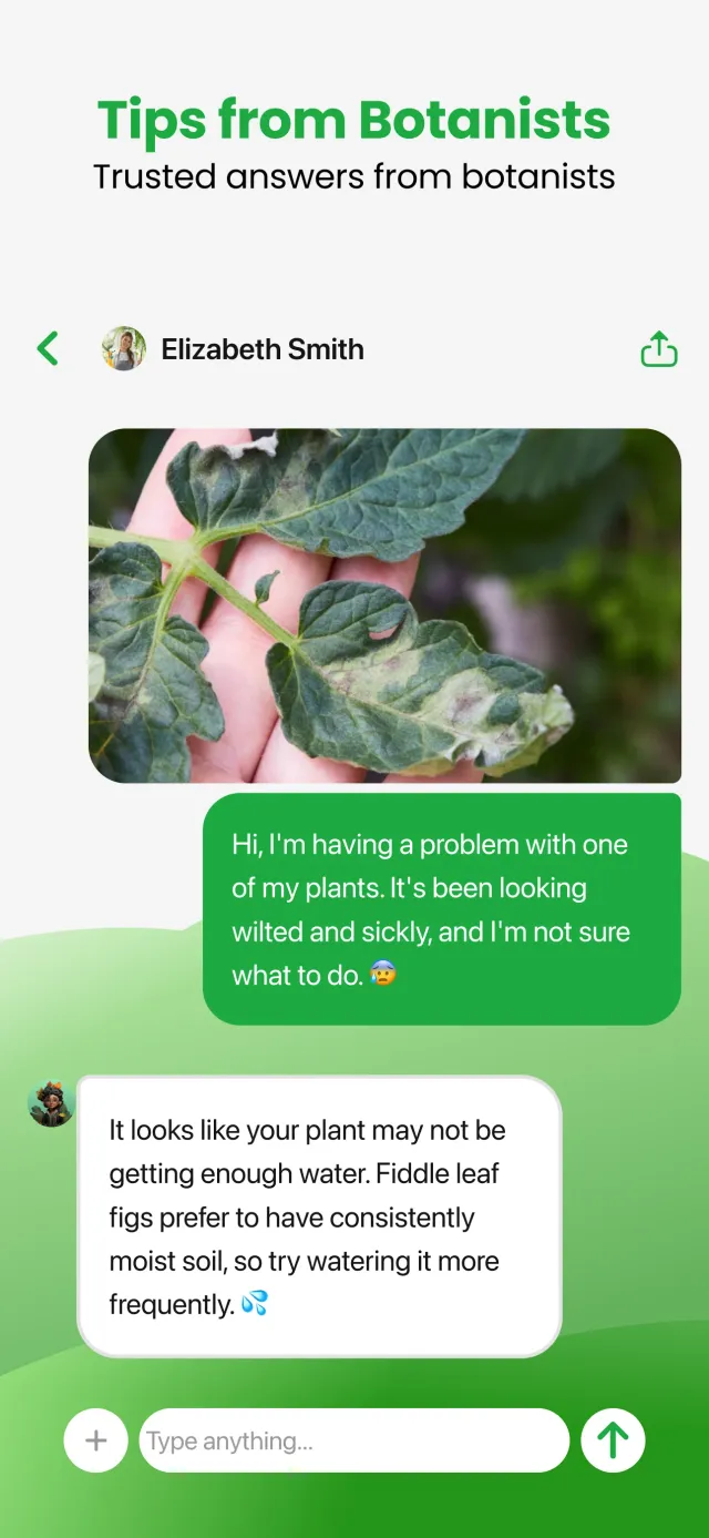 Plant App - Plant Identifier - Screen 6