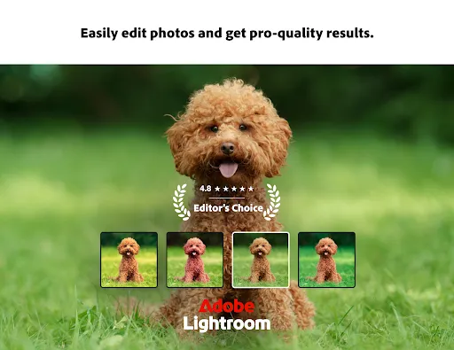 Lightroom Photo & Video Editor - Screen 1