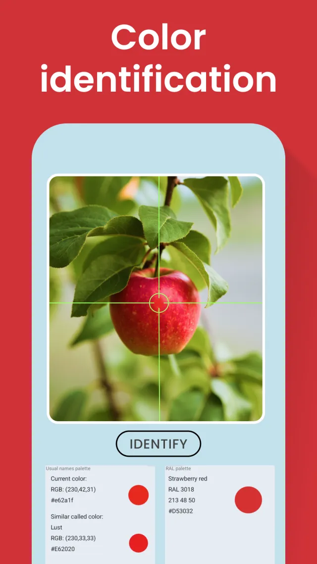 Color Identification - Screen 3