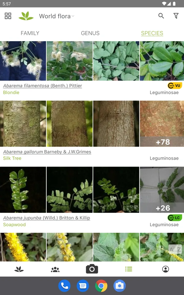 PlantNet Plant Identification - Screen 7