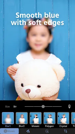 Photo Blur & Mosaic Effects - Screen 3