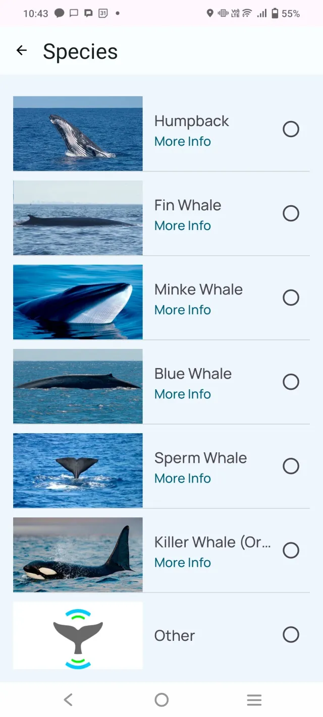Whale Alert - Screen 6