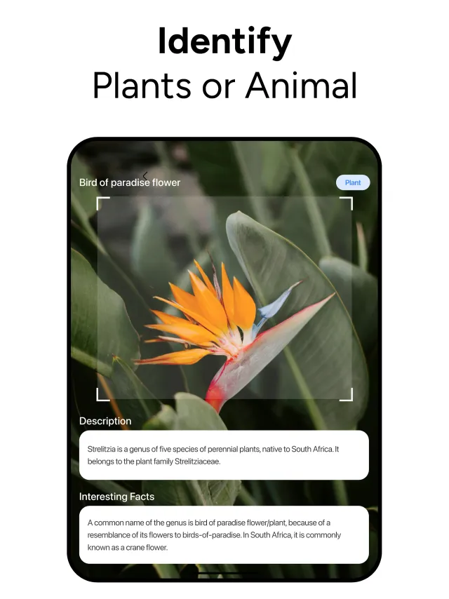Lens AI & Reverse Image Search - Screen 8