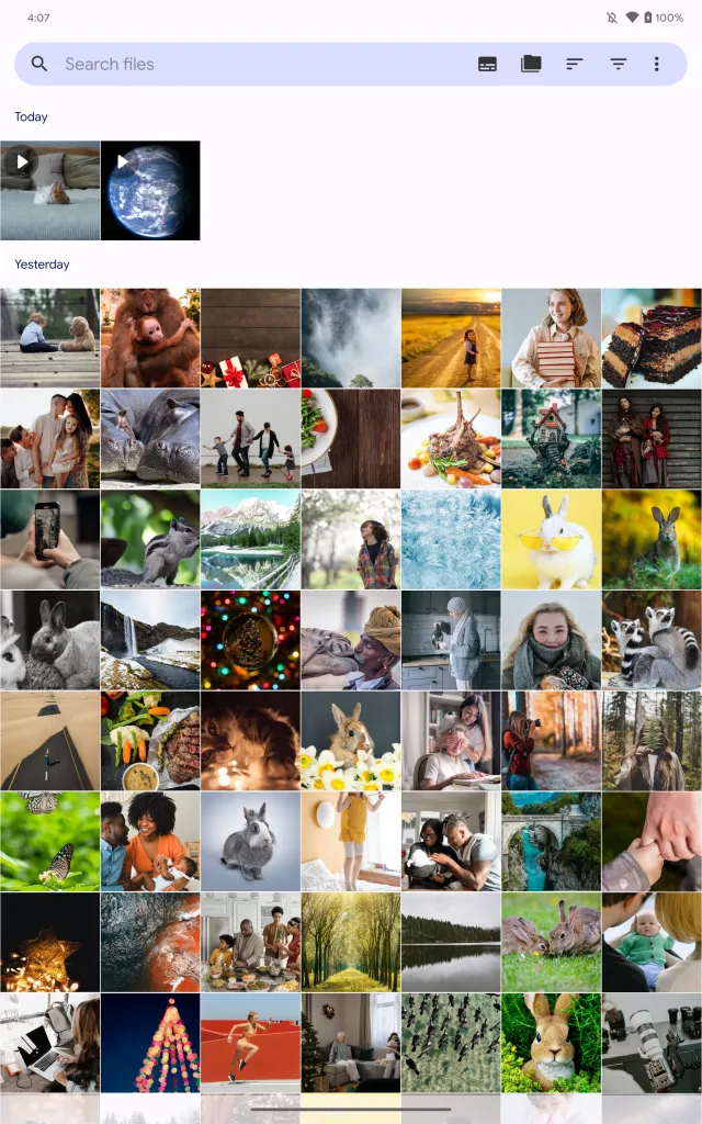 Fossify Gallery - Screen 8