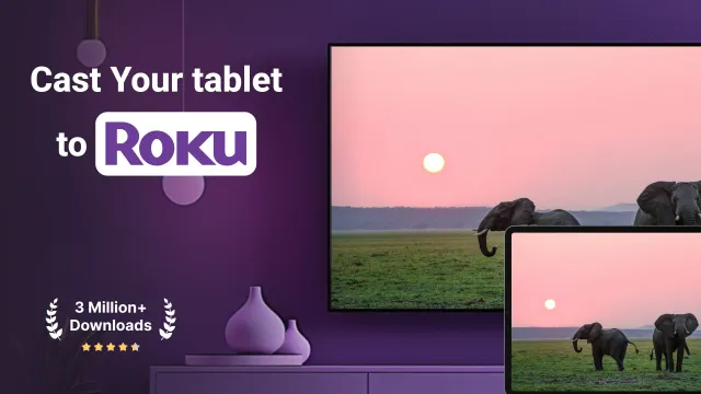 Roku Screen Mirror & Cast TV - Screen 8