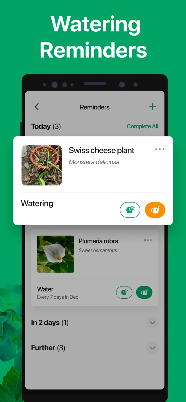 PictureThis - Plant Identifier - Screen 5