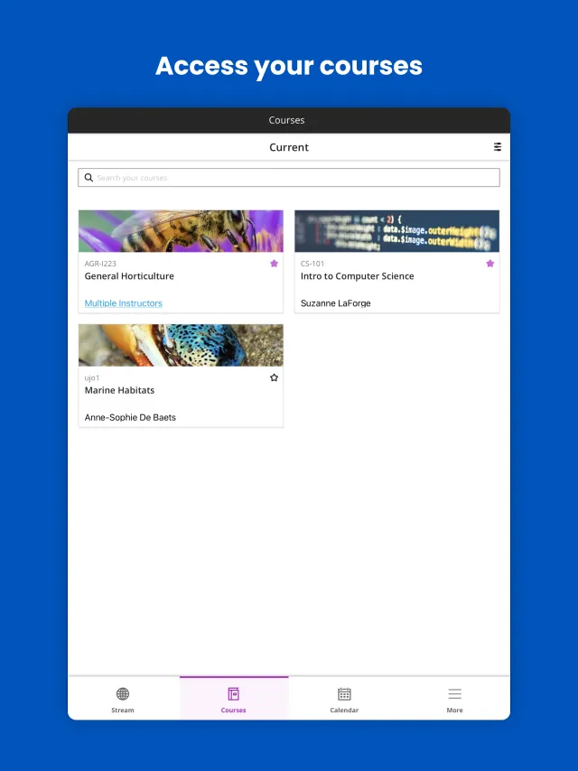 Blackboard - Screen 8