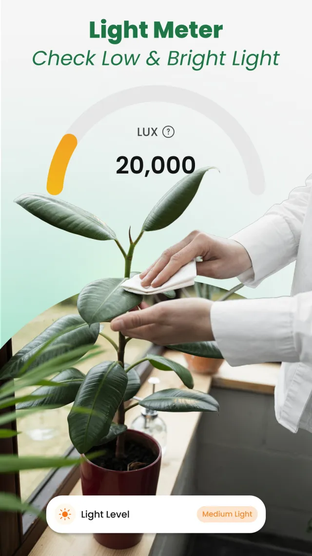 Plant Identifier: Tips & Care - Screen 4