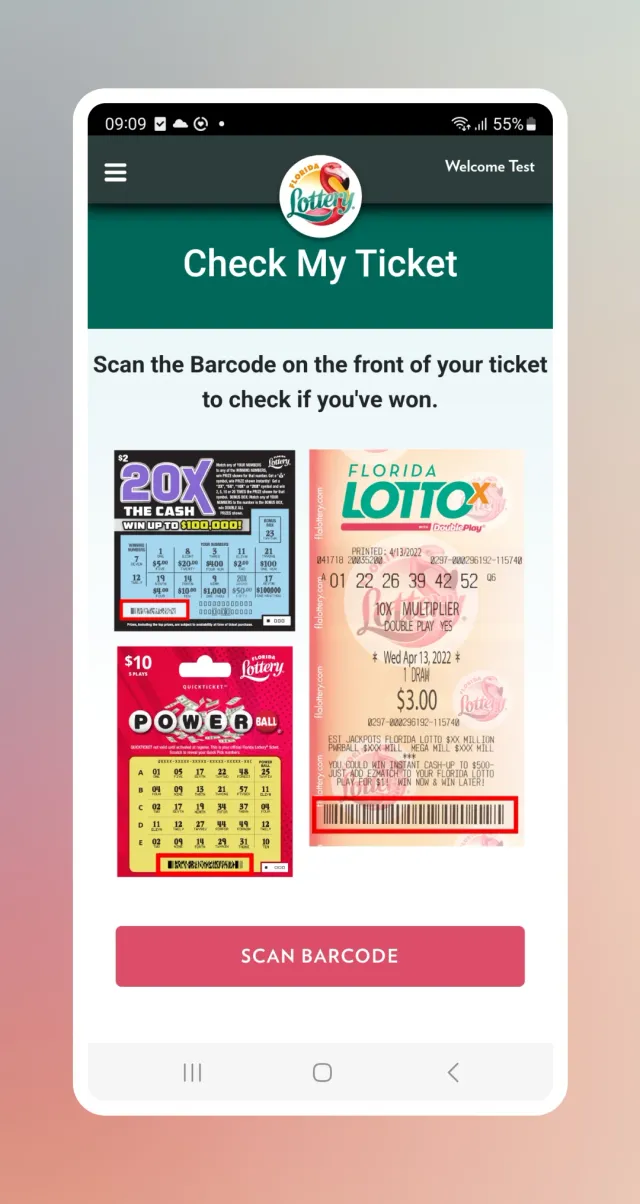 Florida Lottery - Screen 1