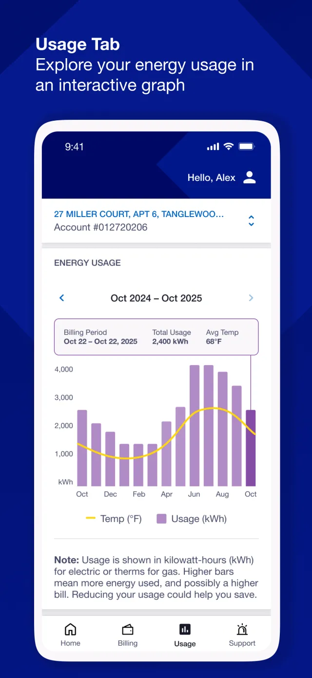 National Grid - Screen 4