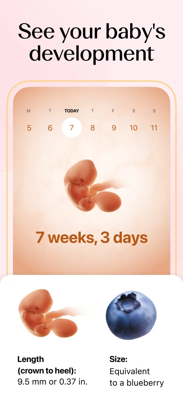 Flo Ovulation & Period Tracker - Screen 4
