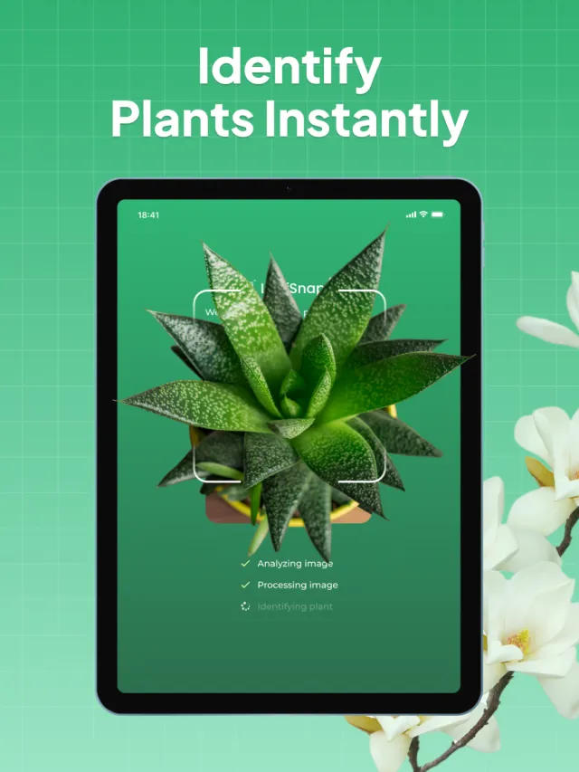 Plant Identifier: LeafSnap - Screen 7