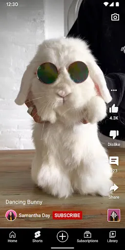 YouTube - Screen 2