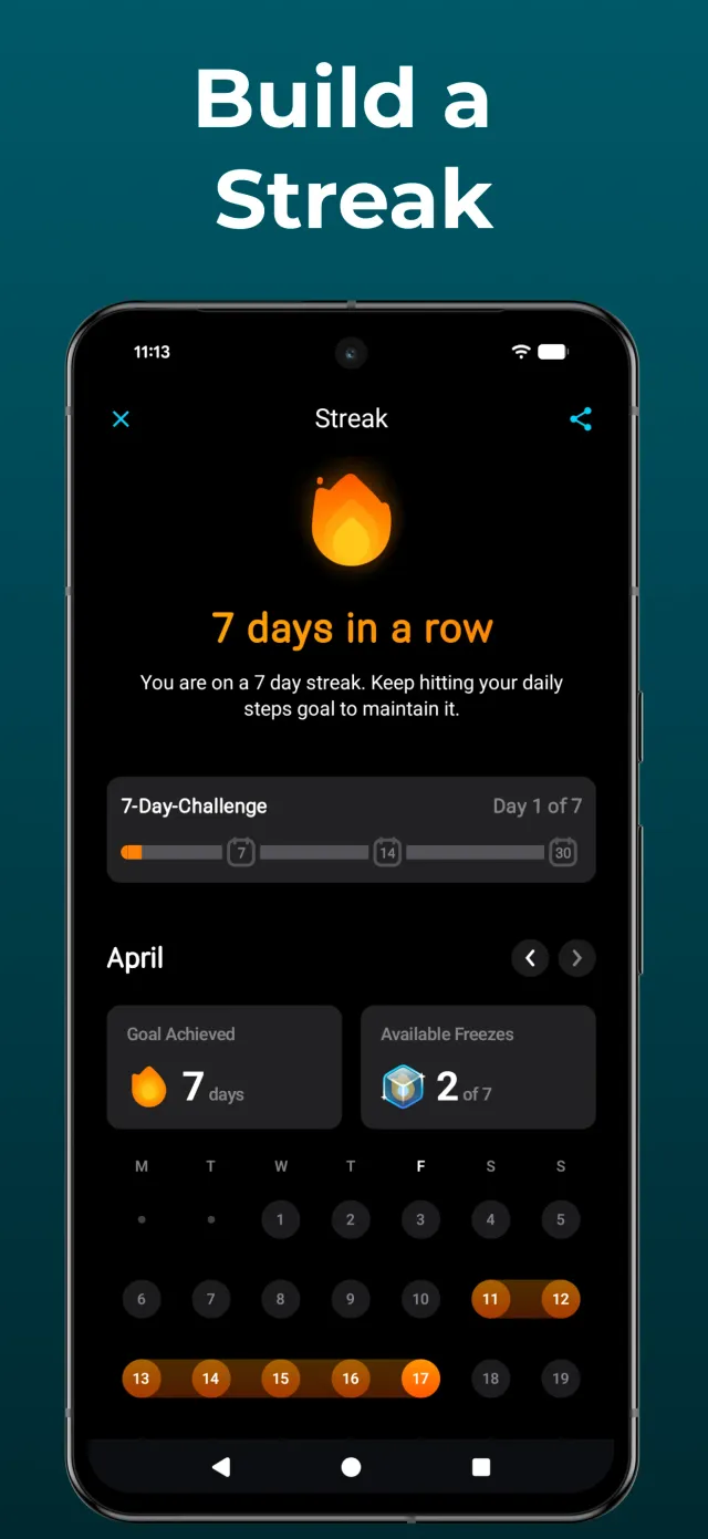 StepsApp - Step Counter - Screen 4