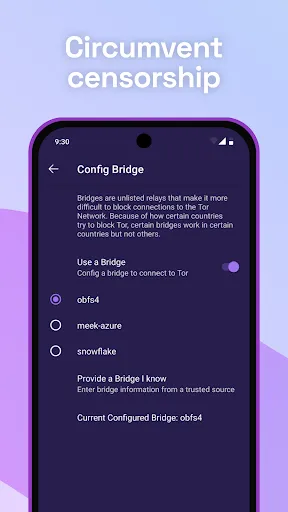 Tor Browser - Screen 2