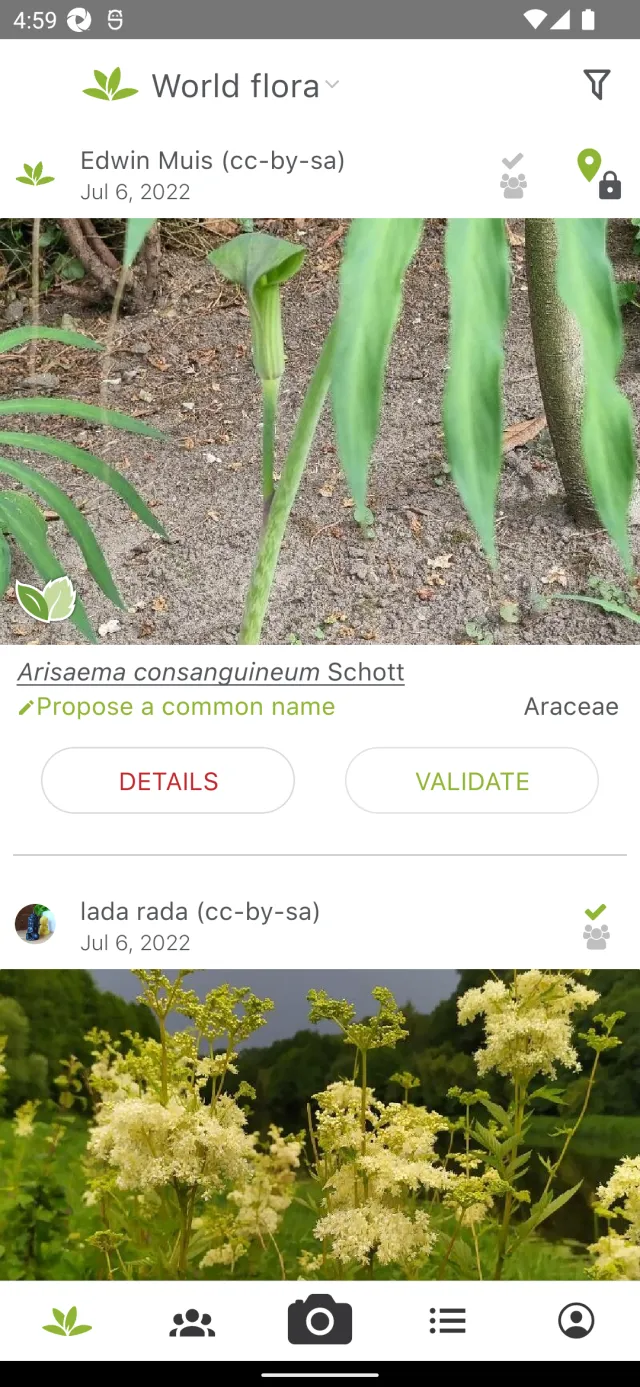 PlantNet Plant Identification - Screen 4