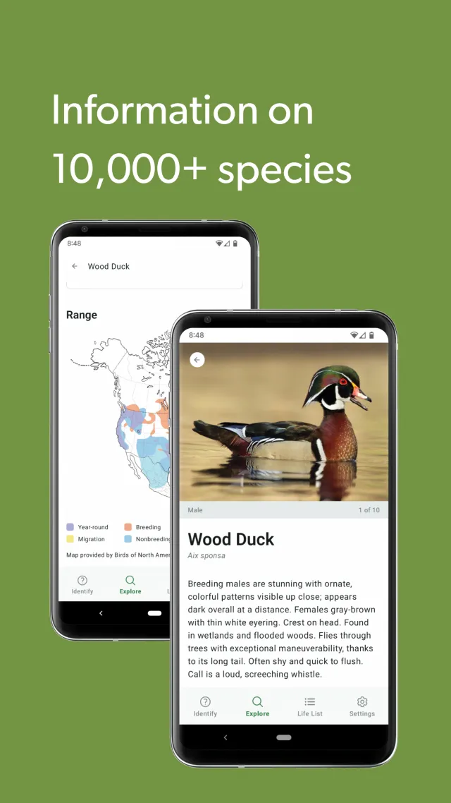 Merlin Bird ID by Cornell Lab - Screen 8