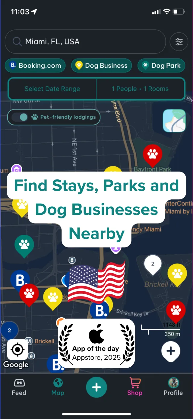 DogPack: Dog Friendly Spots - Screen 1
