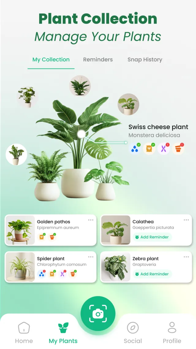 Plant Identifier: Tips & Care - Screen 7
