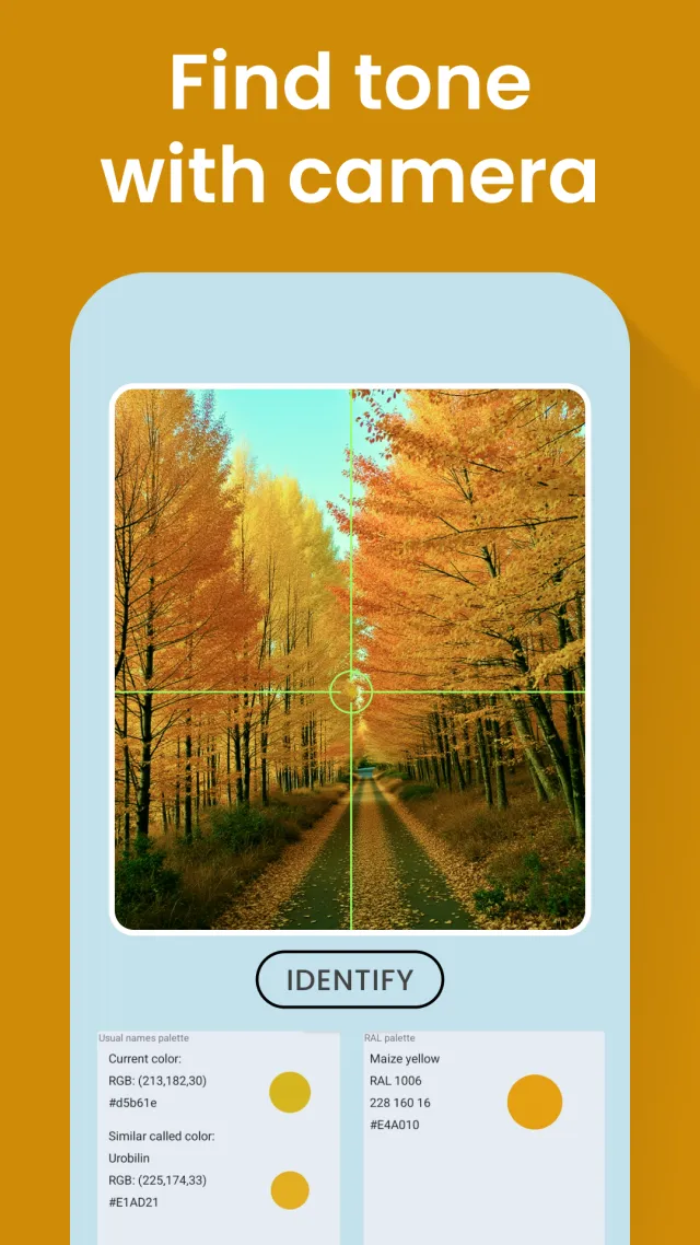 Color Identification - Screen 4