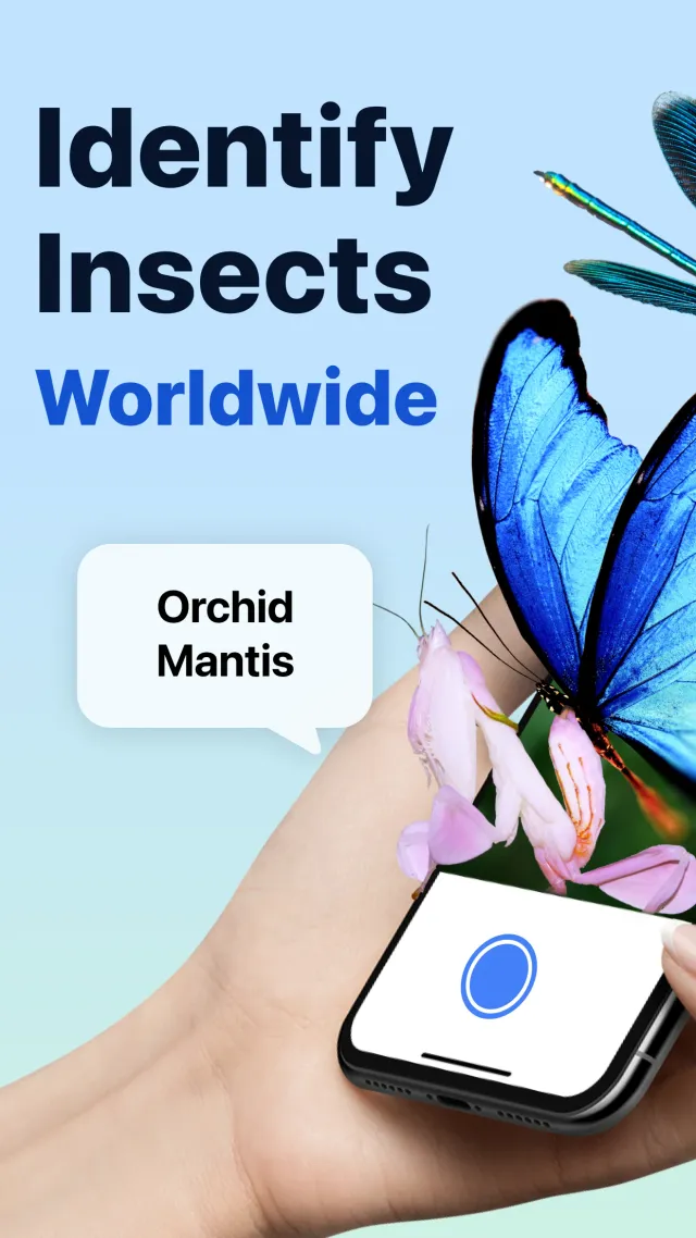 Picture Insect: Bug Identifier - Screen 1