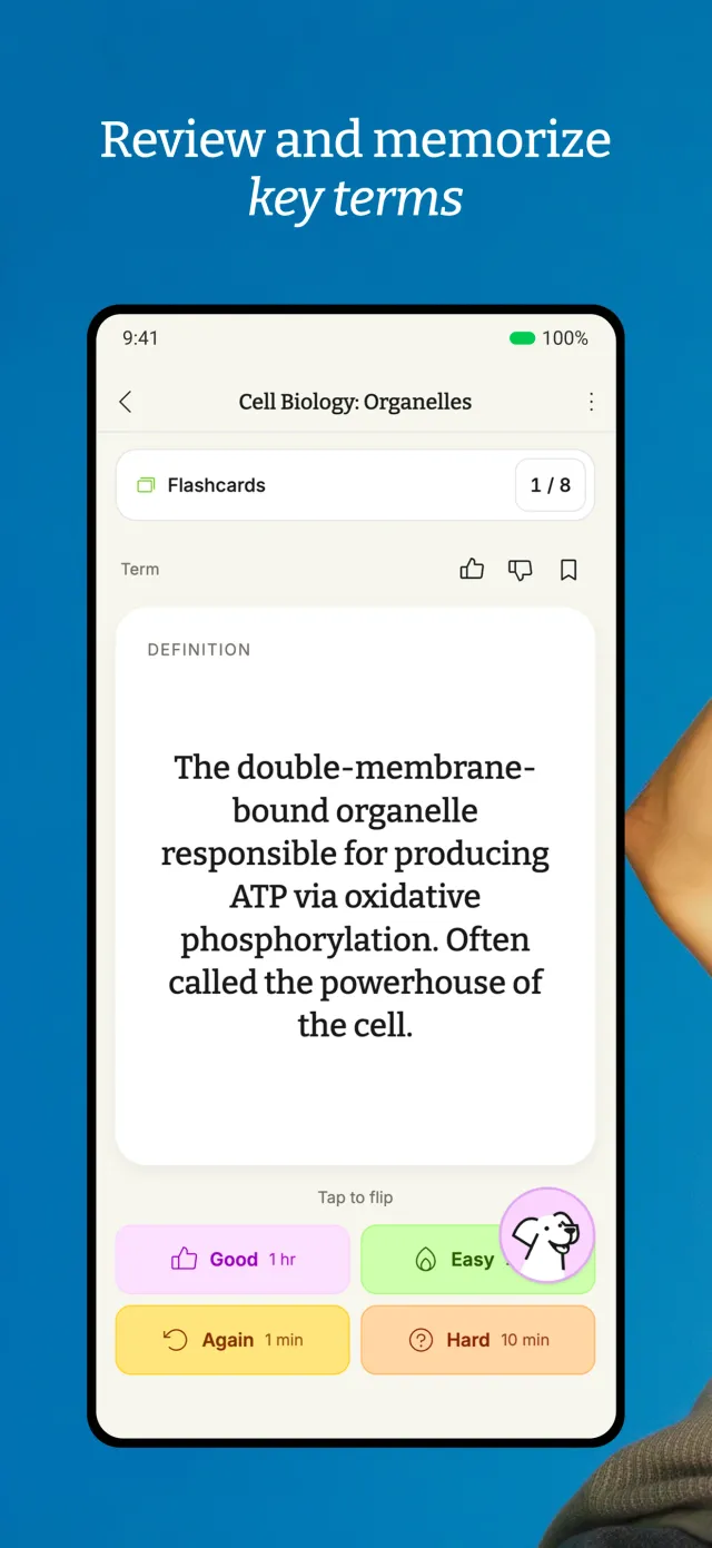 StudyFetch - Screen 4